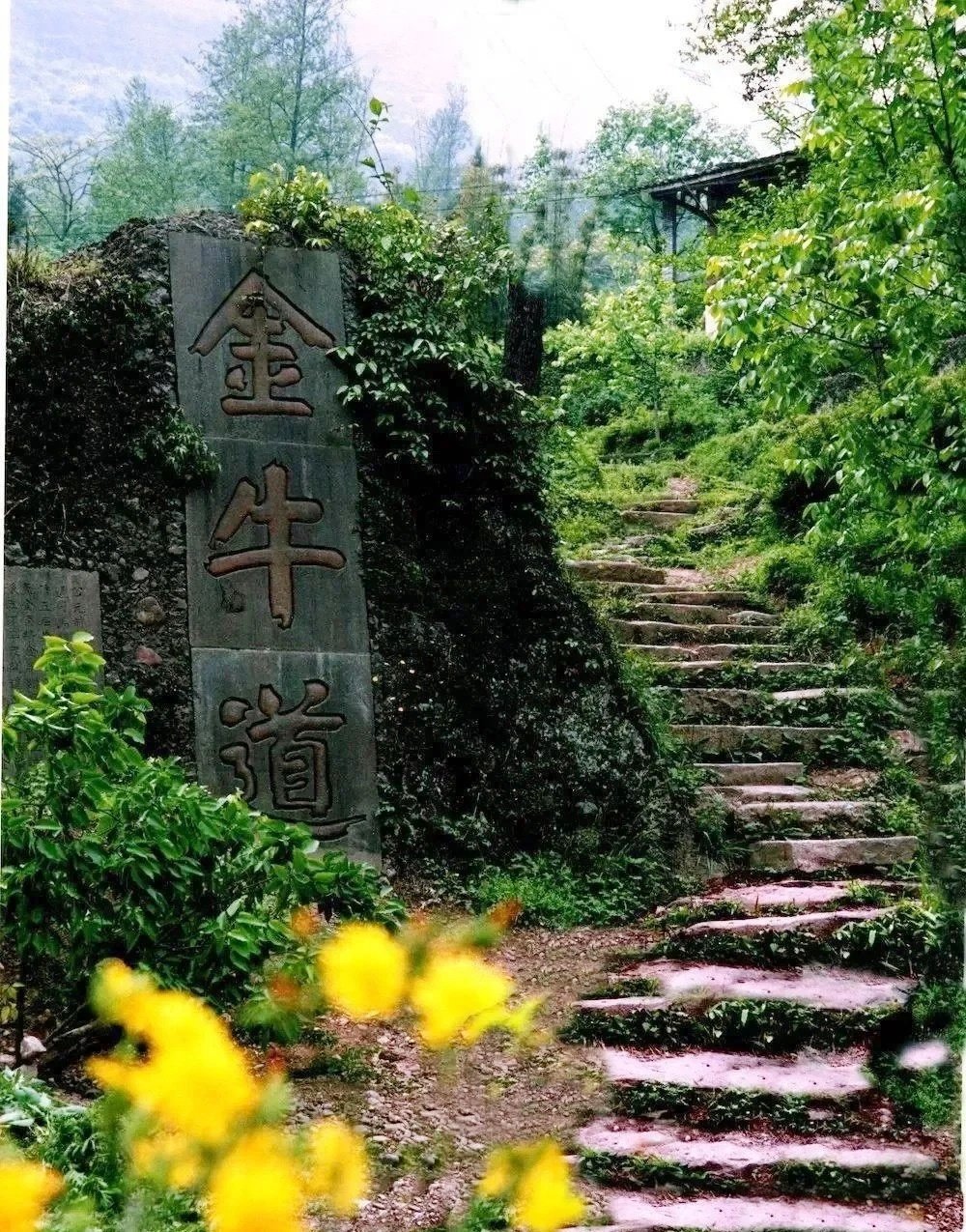 Day 5: Rural Countryside Walking