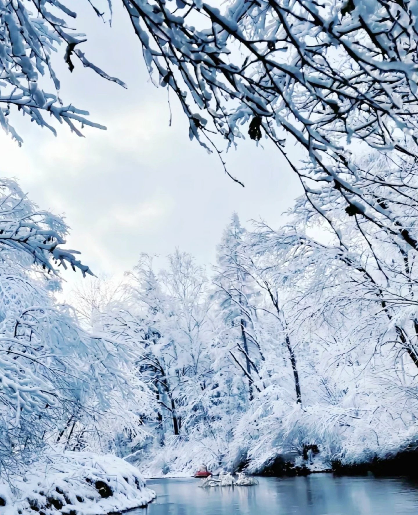 Day 6: Natural Wonders Day