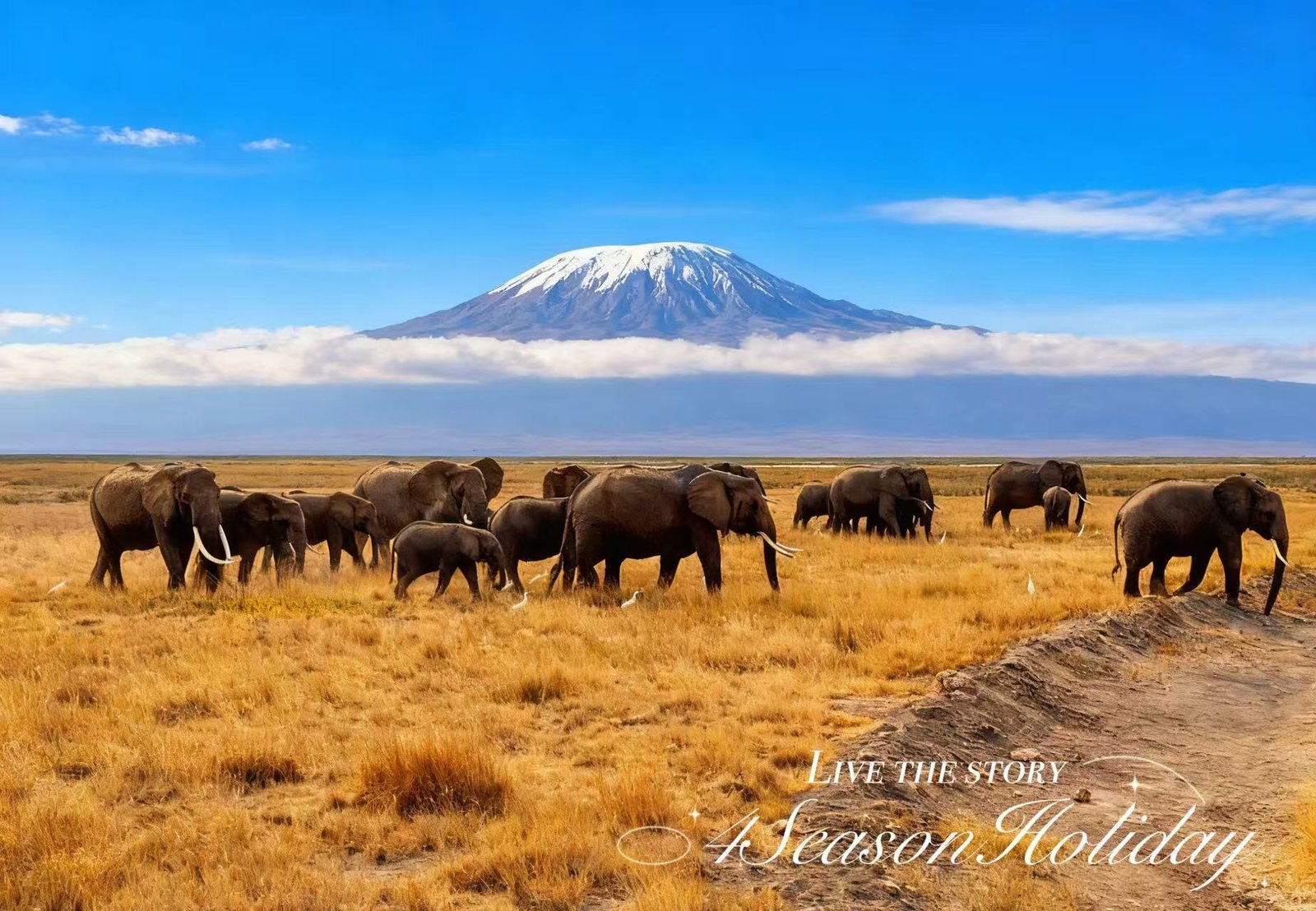 Day 13: Amboseli National Park