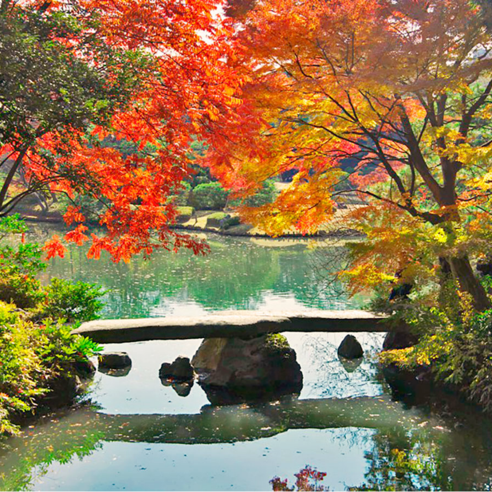 Day 1: Tokyo Arrival – Rest & Recovery