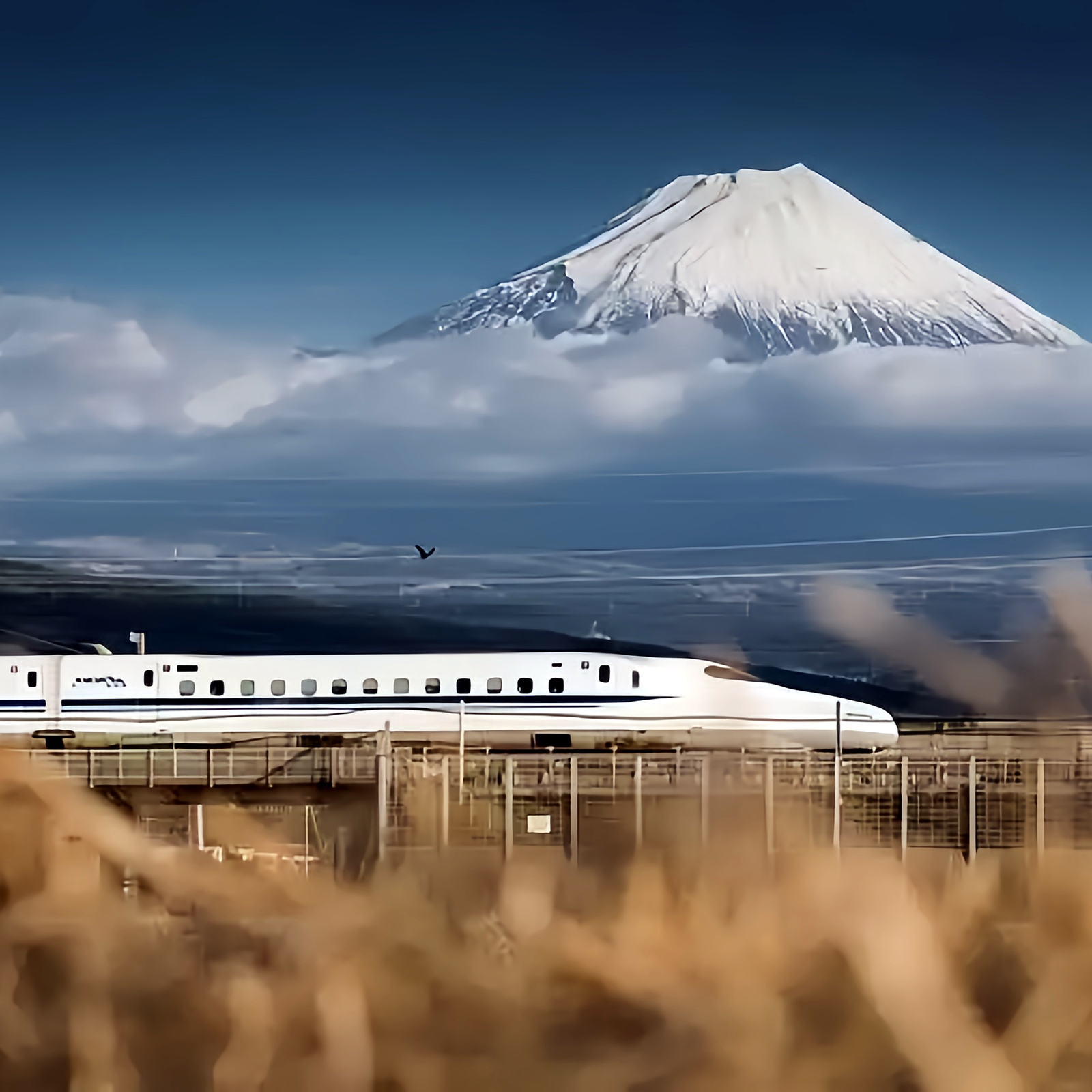 Day 7: Kyoto → Kanazawa