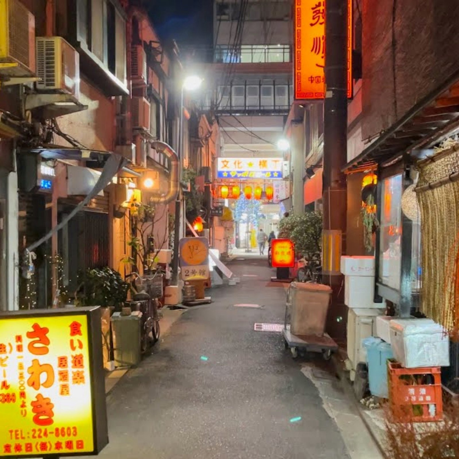 Day 1: Tokyo Arrival