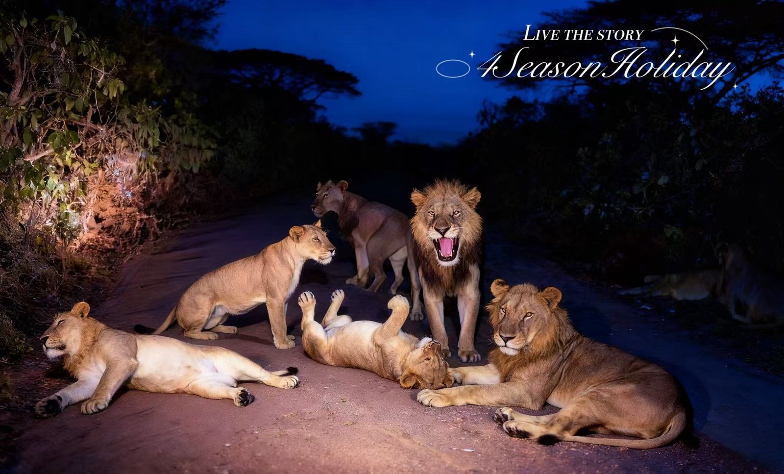 Day 10: Lake Manyara & Treehouse Experience