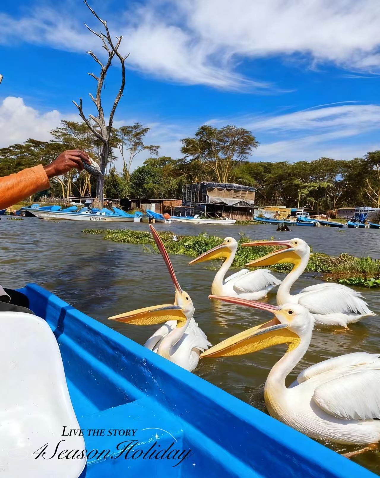 Day 3: Rift Valley Lakes