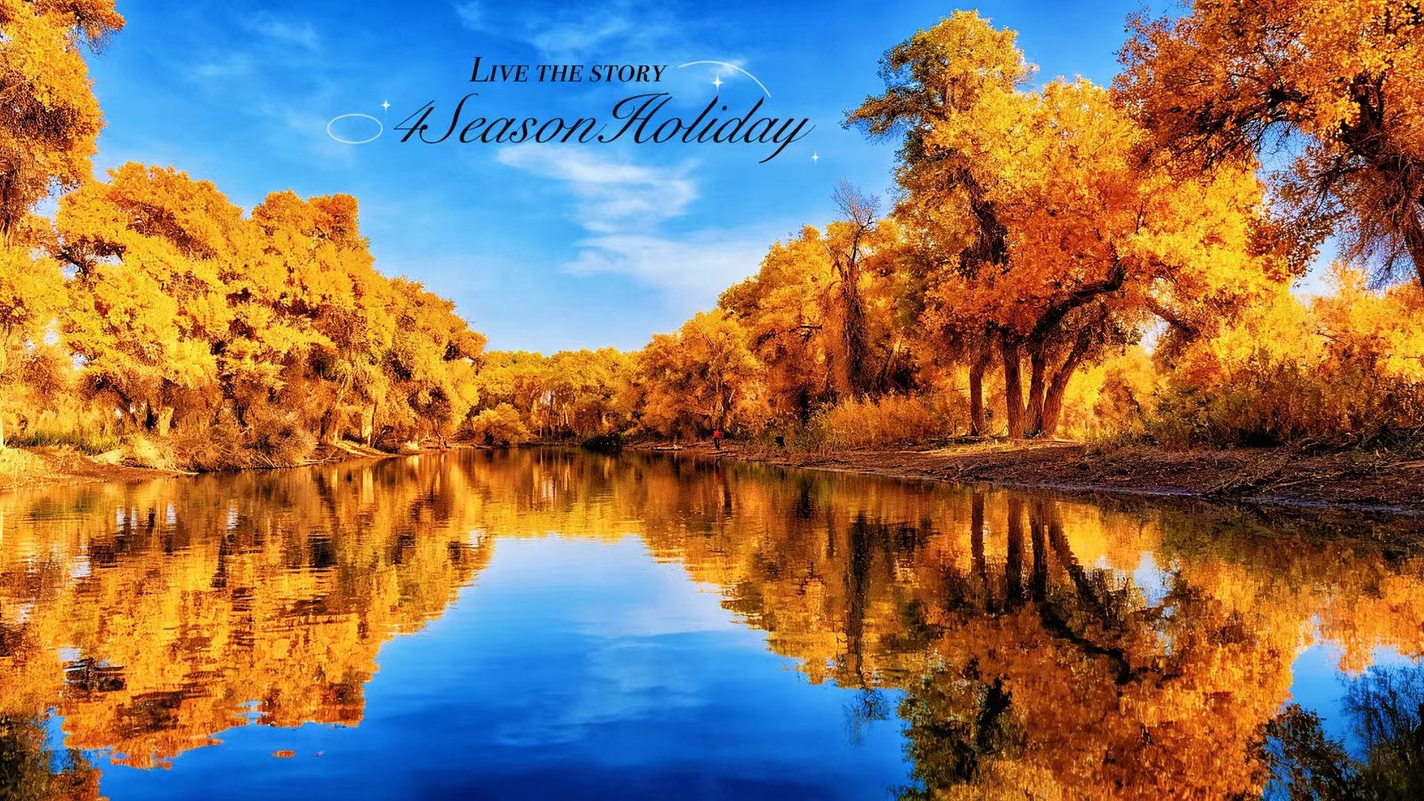 Day 8: Poplar Forests & Desert Ecology