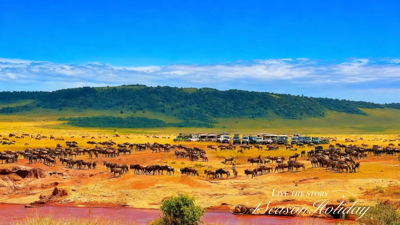 Day 5: Masai Mara Full Day