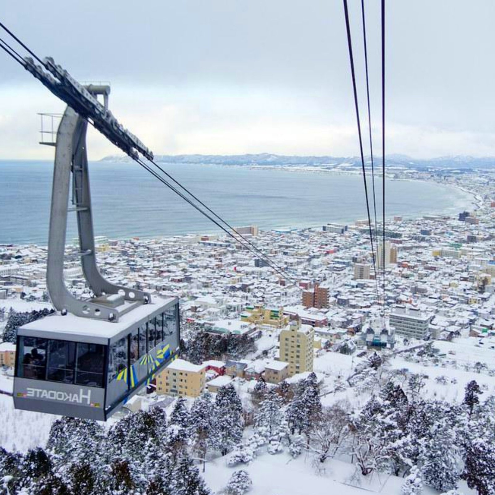 Day 7: Hakodate Exploration