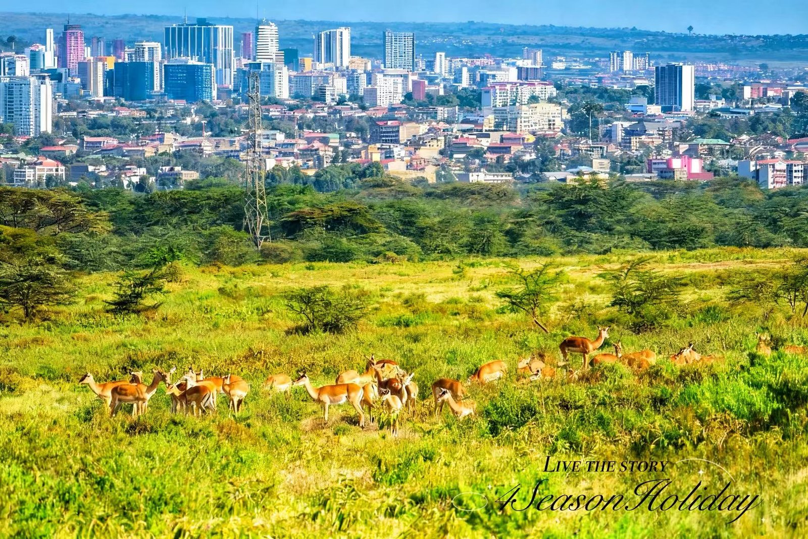 Day 1: Nairobi Arrival - Safari Capital Welcome