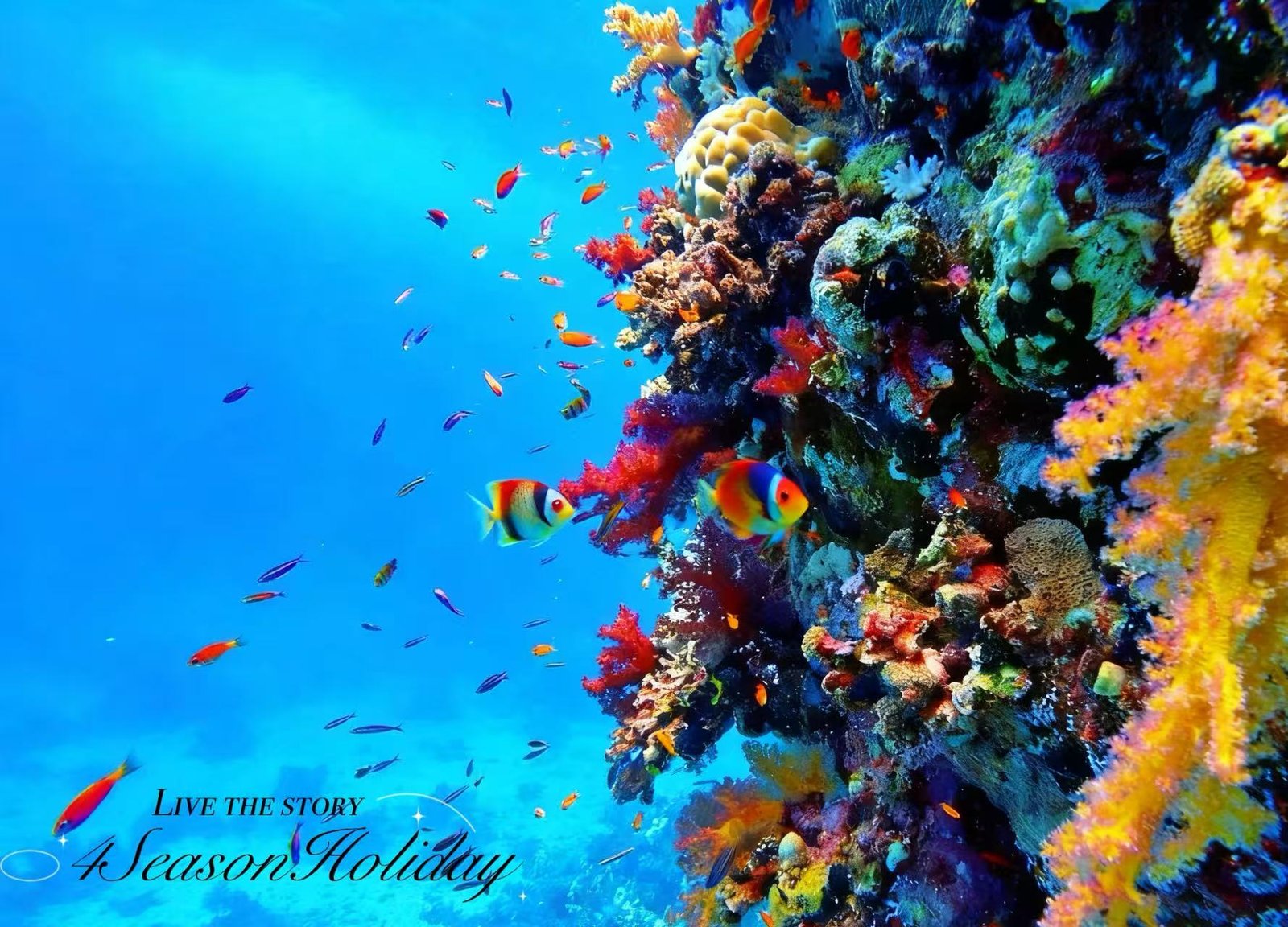 Day 4: Red Sea Adventure