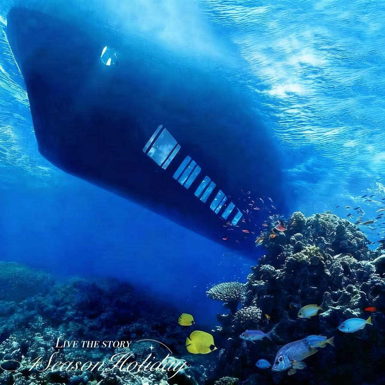 Day 5: Submarine Ride & Free Time