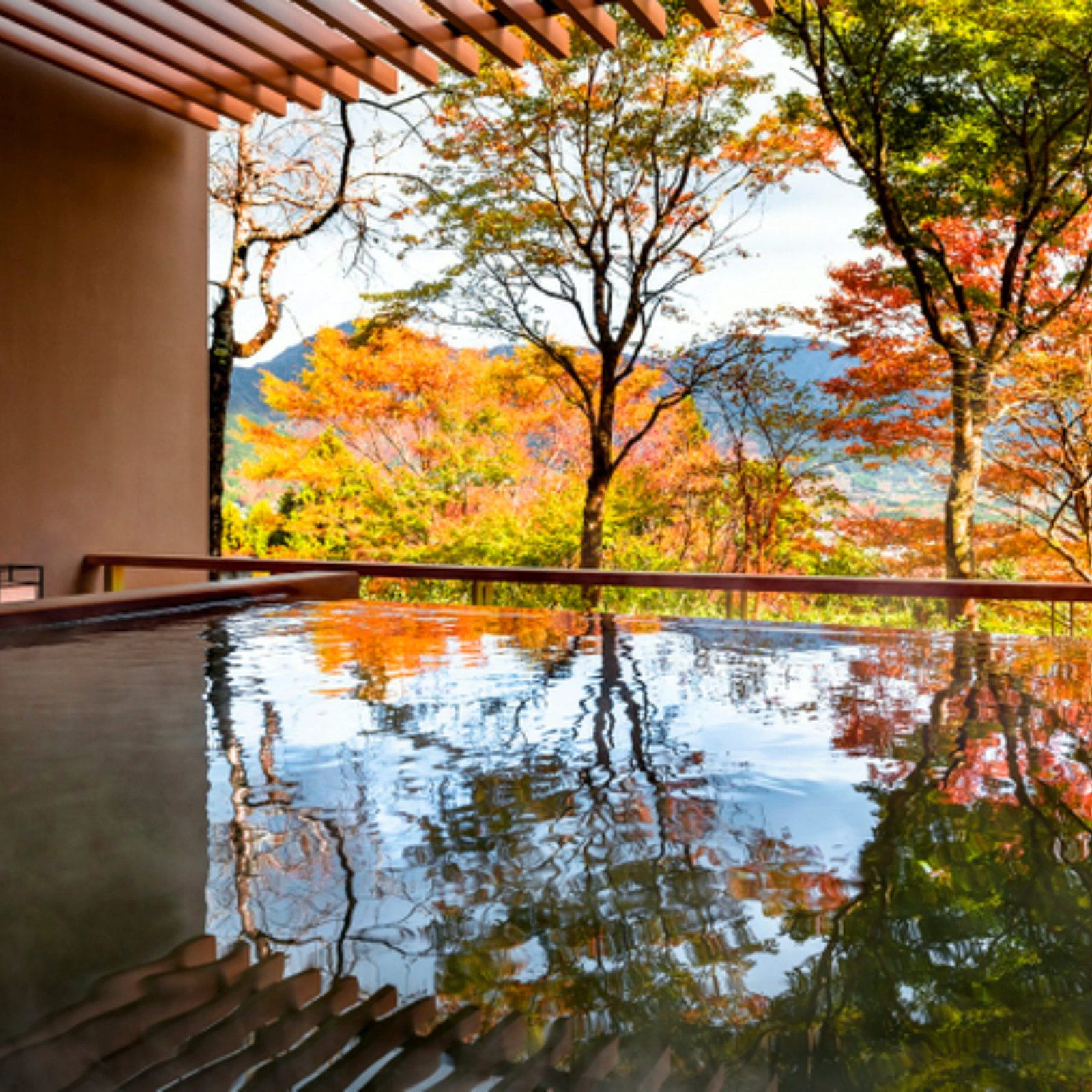 Day 3: Mt. Fuji & Hakone - Volcanic Canvas