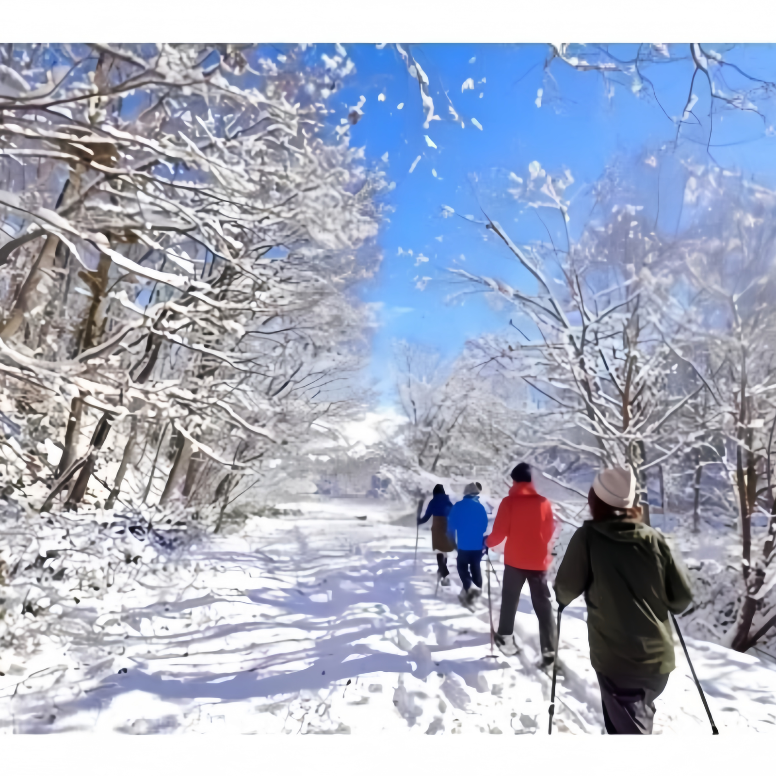 Day 5: Asahikawa Adventures