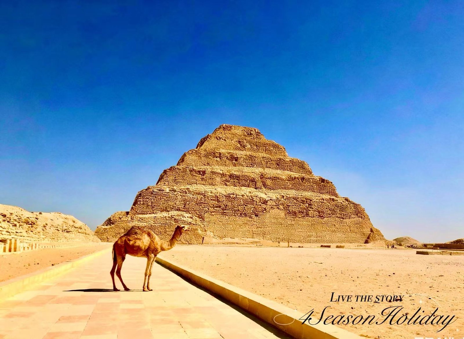Day 2: Giza Pyramids and Sphinx & Step Pyramid of Djoser