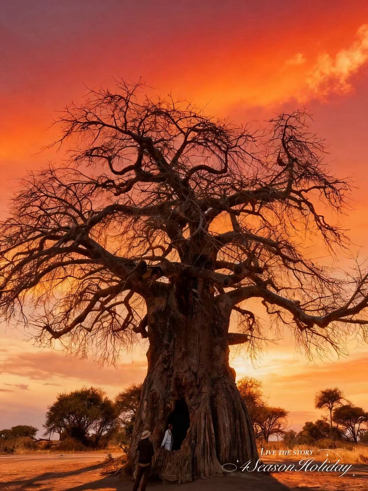 Day 11: Tarangire National Park