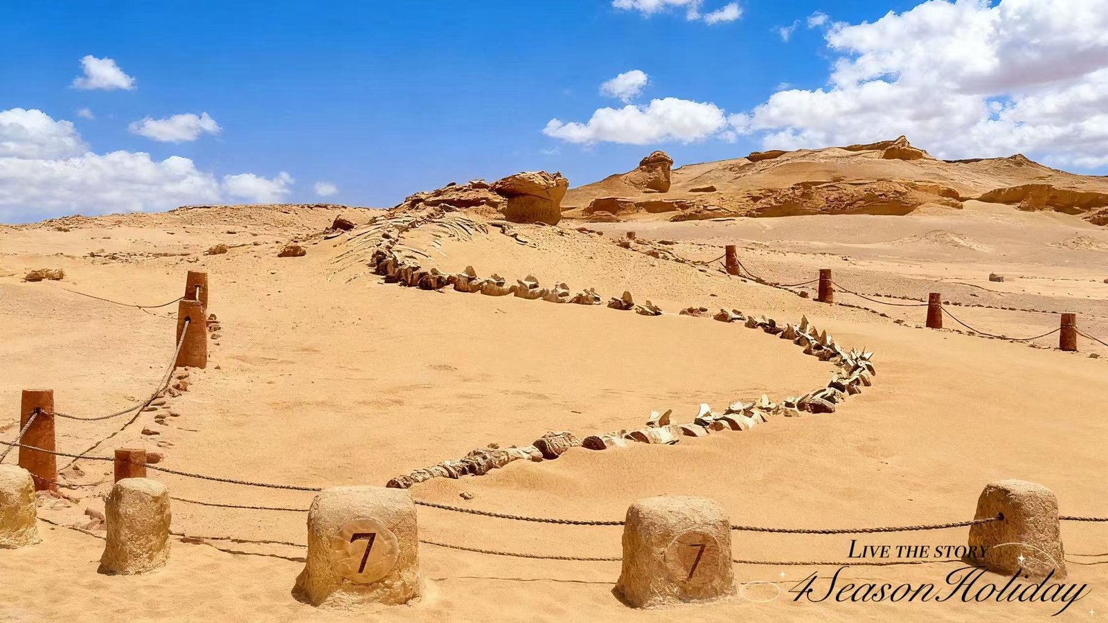 Day 3: Fayoum Desert Adventure