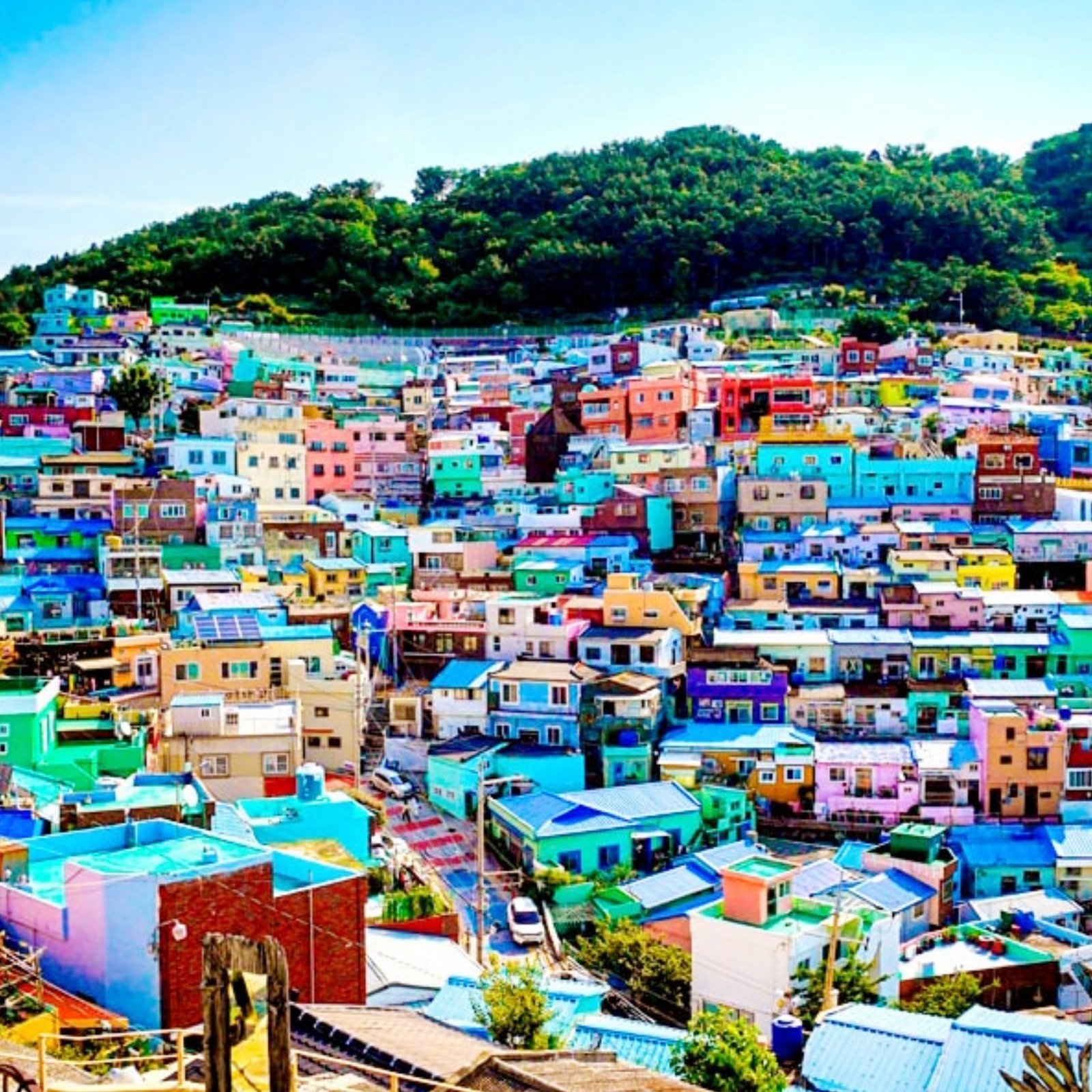 Day 7: Busan Exploration