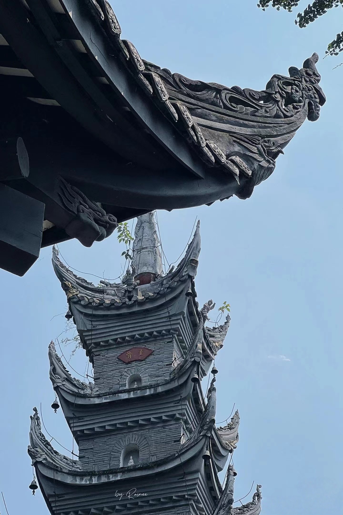 Day 7: High-Speed to Suining