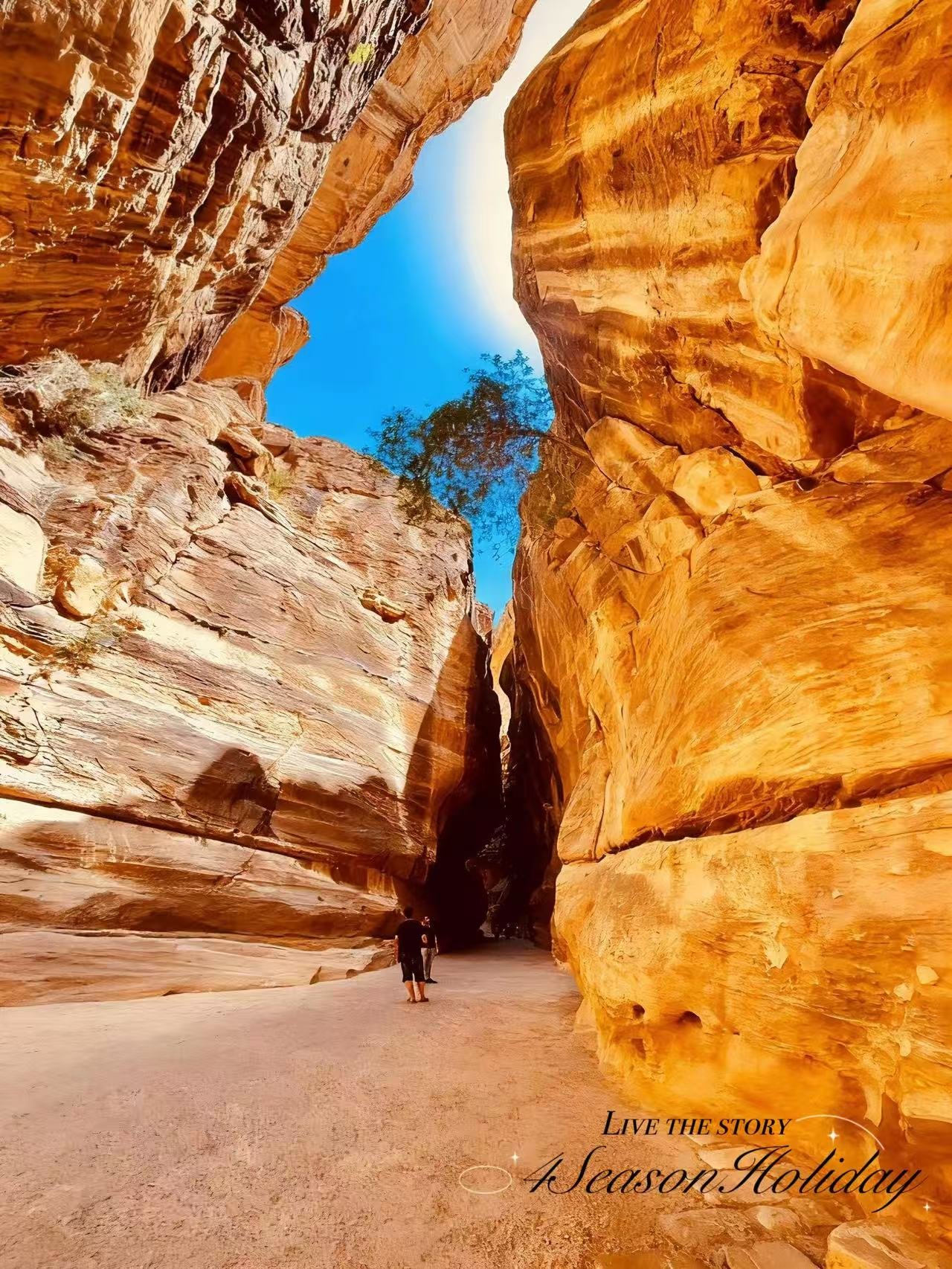 Day 9: Petra Full Day Exploration