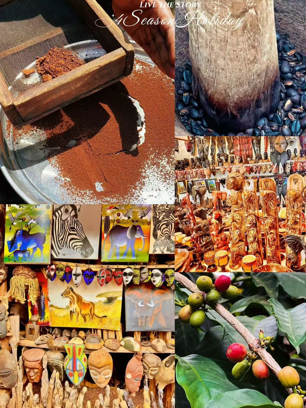 Day 10: Departure Day - Last Safari Memories