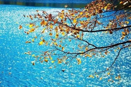 Autumn’s Golden Tapestry: Foliage, Deserts & Harvest Wonders of Asia