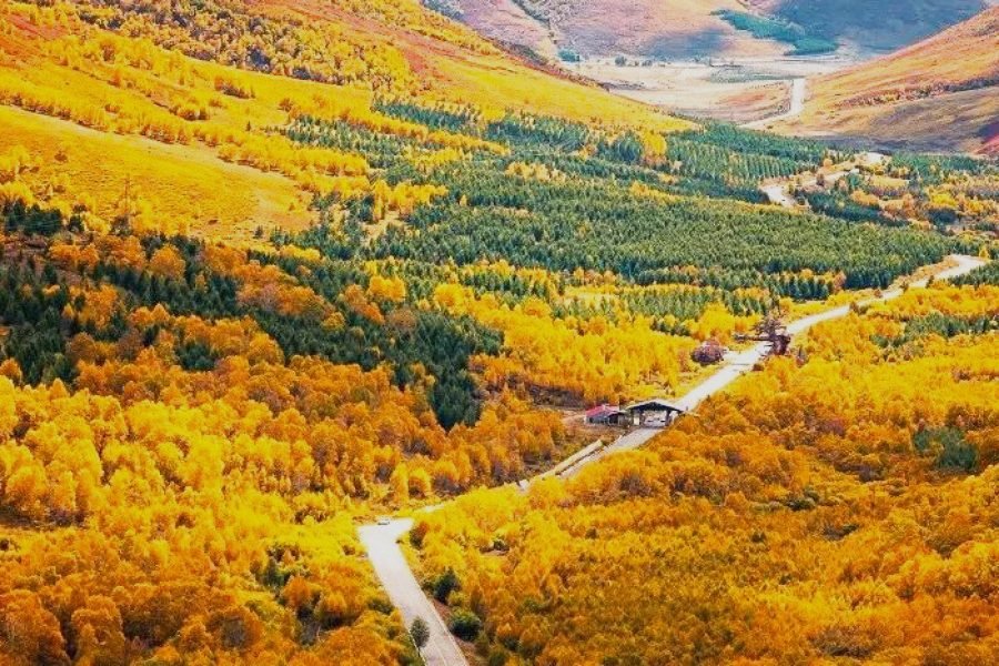 Inner Mongolia Adventure: 10-Day Grassland & Desert Odyssey