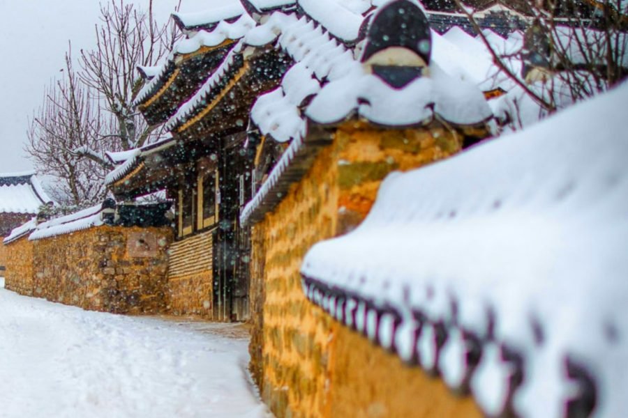 Japan & Korea Winter Cultural Journey: 12-Day Ultimate Discovery