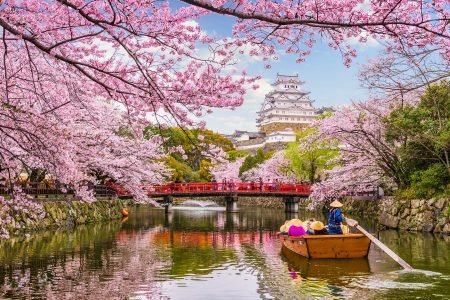 Japan Sakura Splendor: 12-Day Cherry Blossom Journey