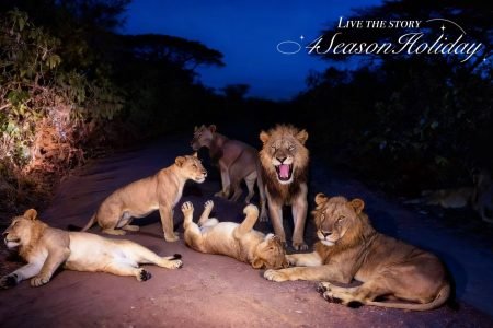 Tanzania Calving Season Safari: 10-Day Wildlife Spectacle