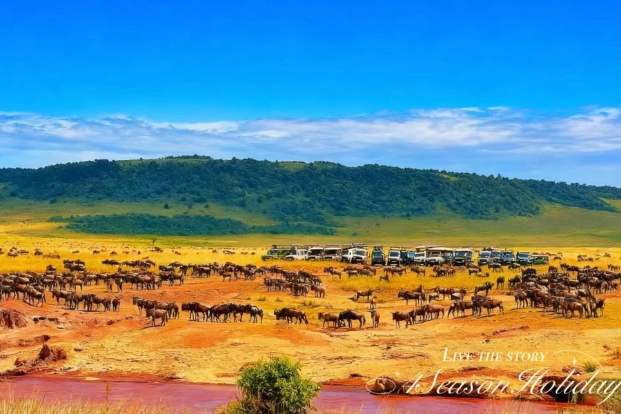 East African Great Migration: 14-Day Safari Adventure