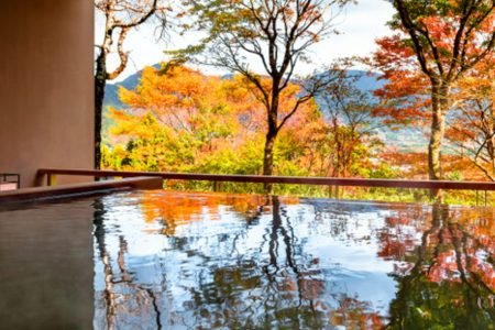 Japan Autumn Splendor: 8-Day Golden Leaves Journey