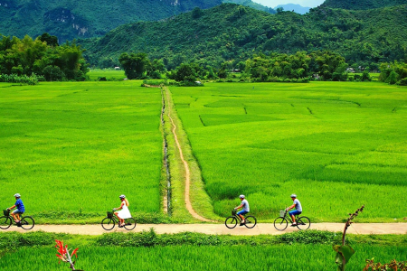 Vietnam Active Discovery: 7-Day Cycling & Culture Journey