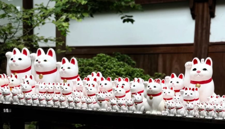 10 Local Favorite Neighborhoods in Tokyo City Walk