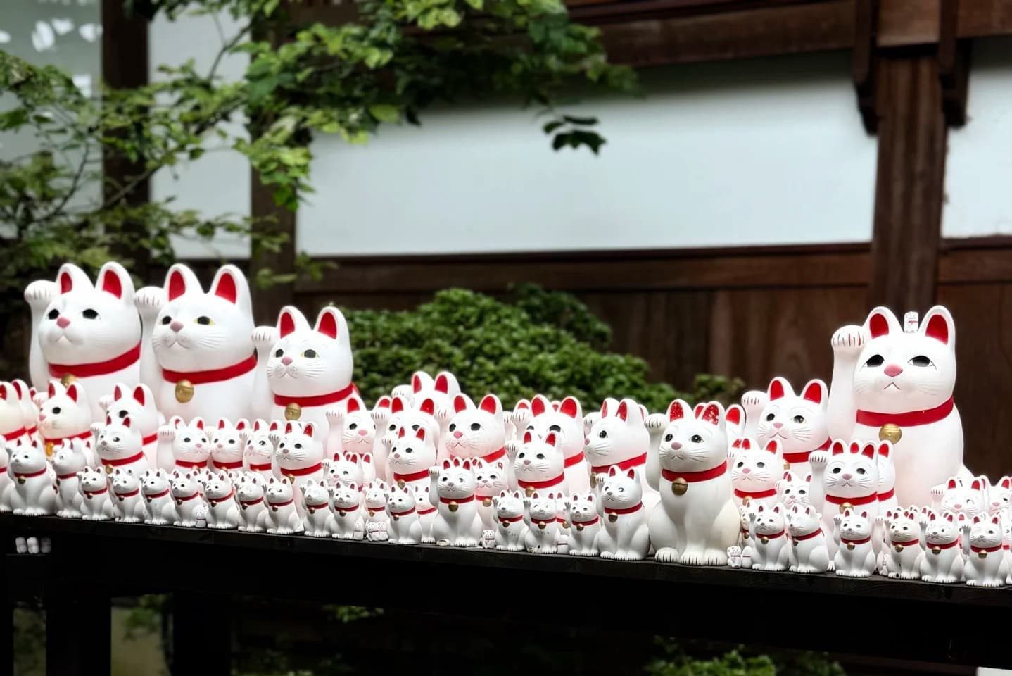 10 Local Favorite Neighborhoods in Tokyo City Walk