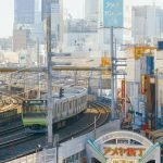 Tokyo private day trip Itinerary