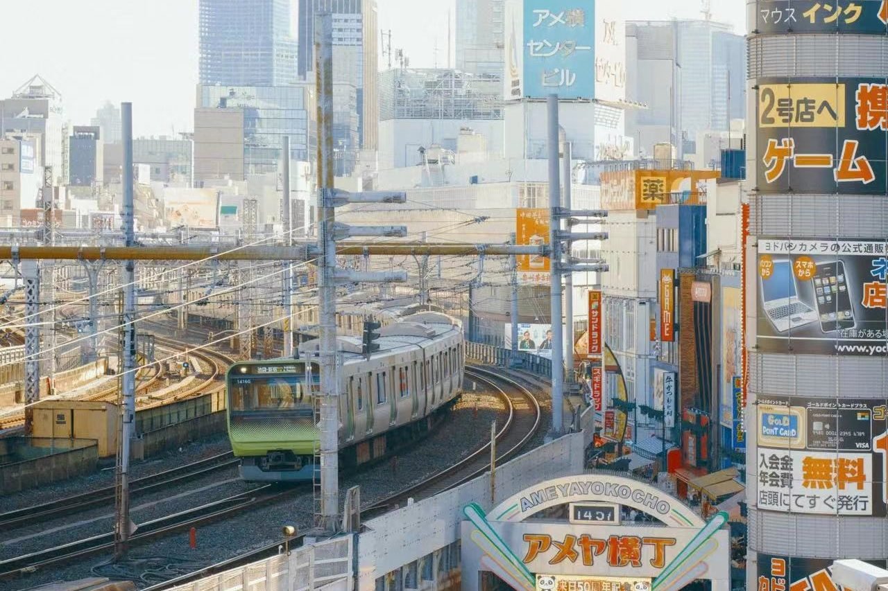 Tokyo private day trip Itinerary
